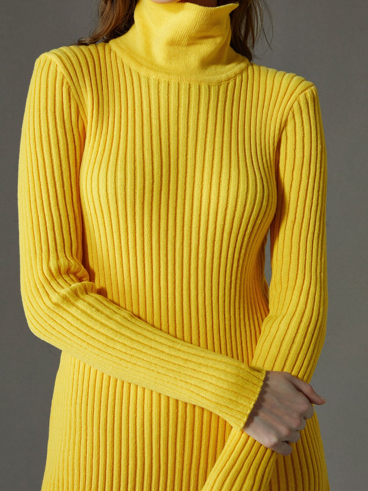 Urban Plain Turtleneck Long Sleeve Sweater Dress