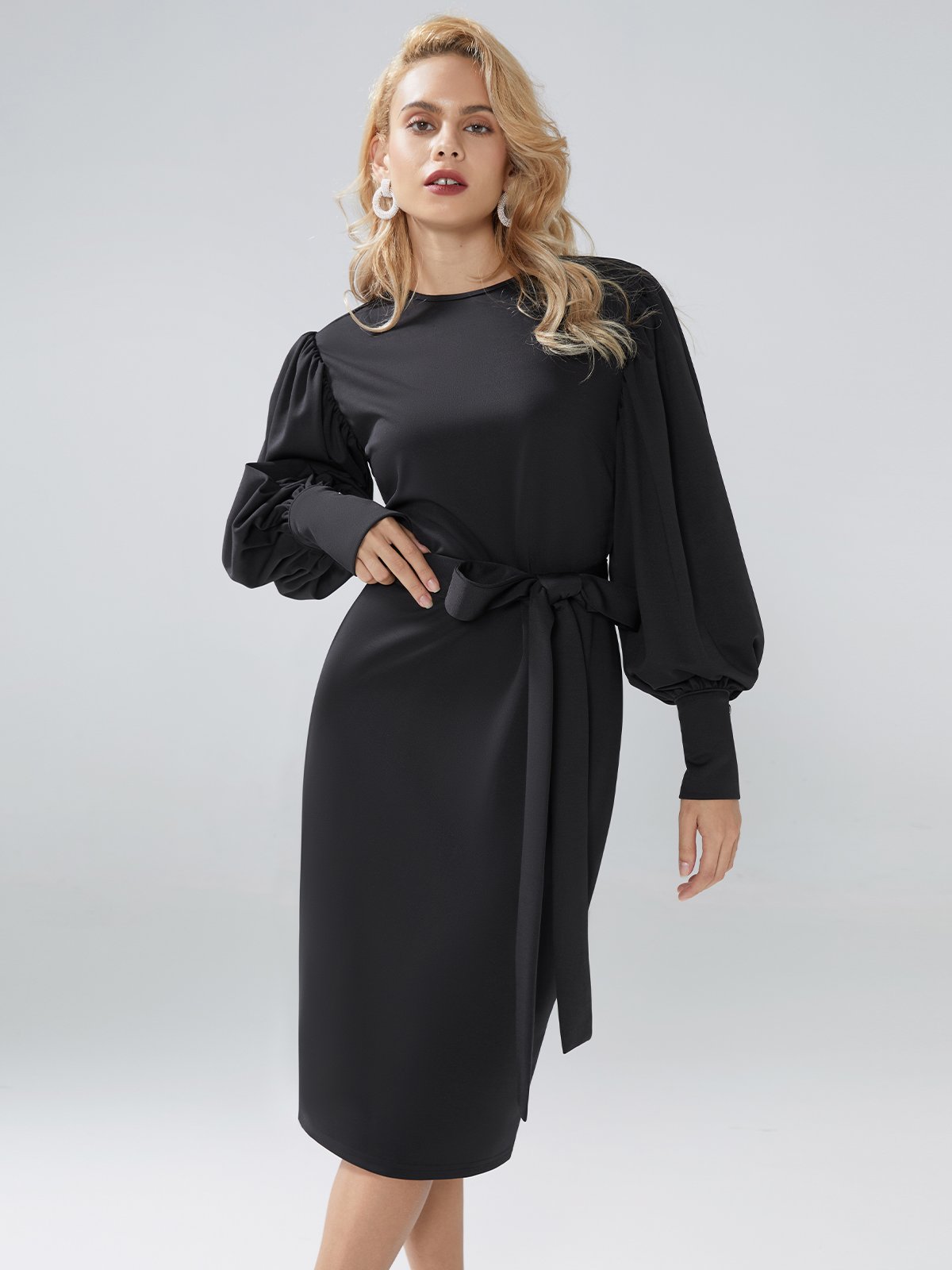 Elegant Plain Lantern Sleeve Crew Neck Dress