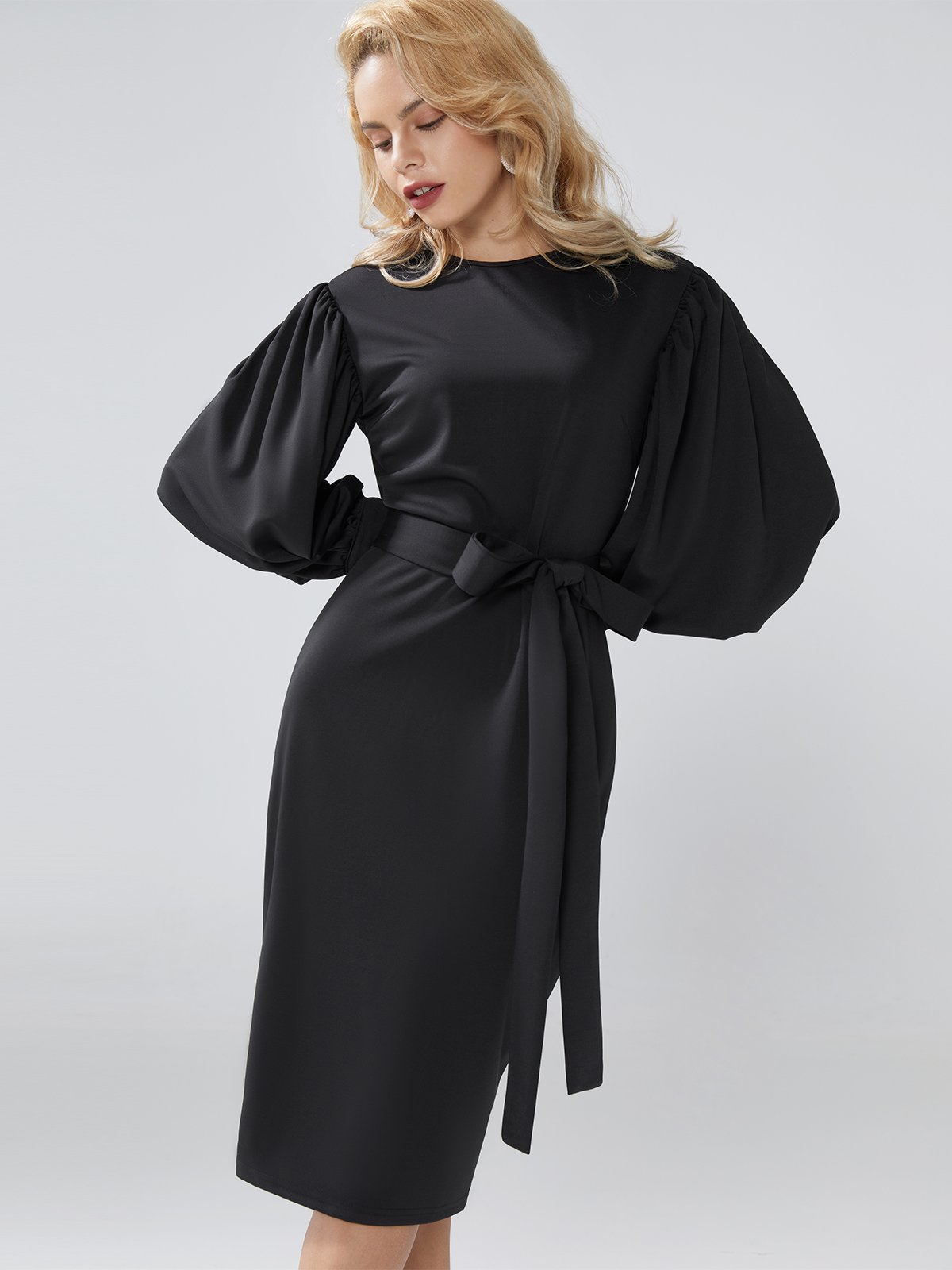 Elegant Plain Lantern Sleeve Crew Neck Dress