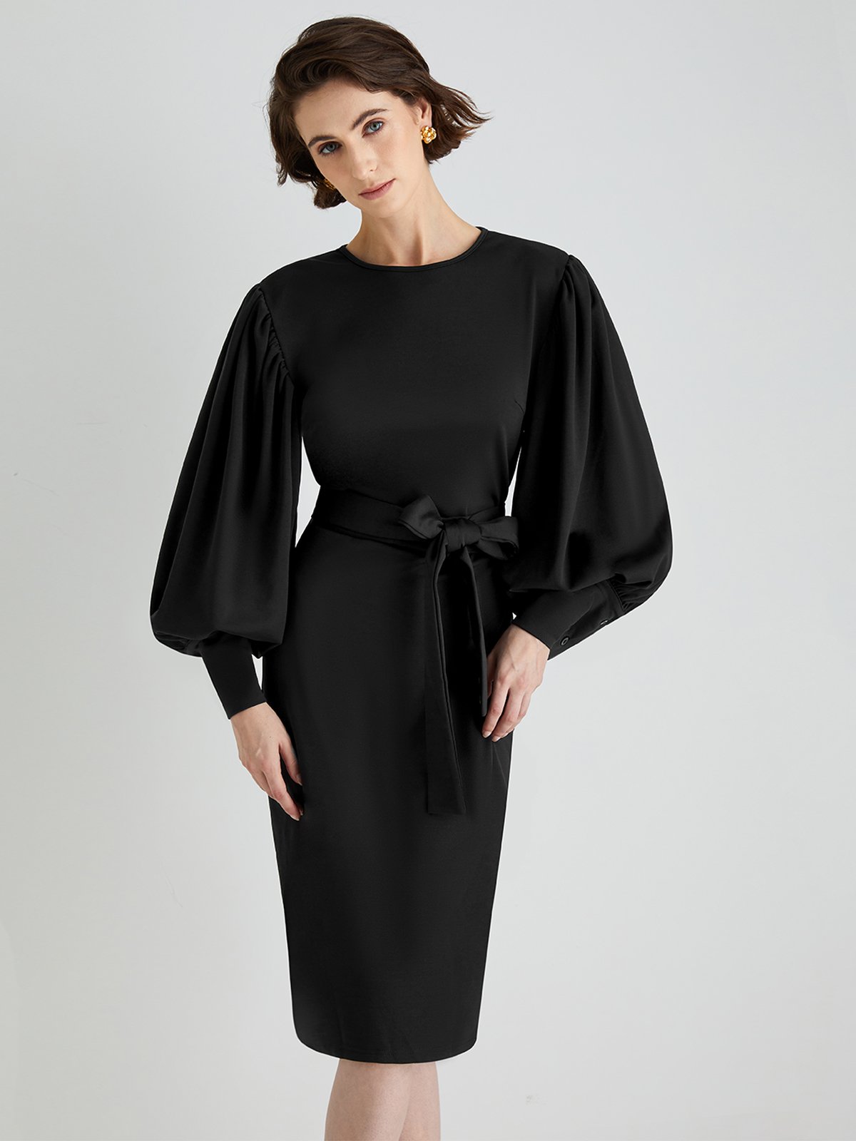 Elegant Plain Lantern Sleeve Crew Neck Dress