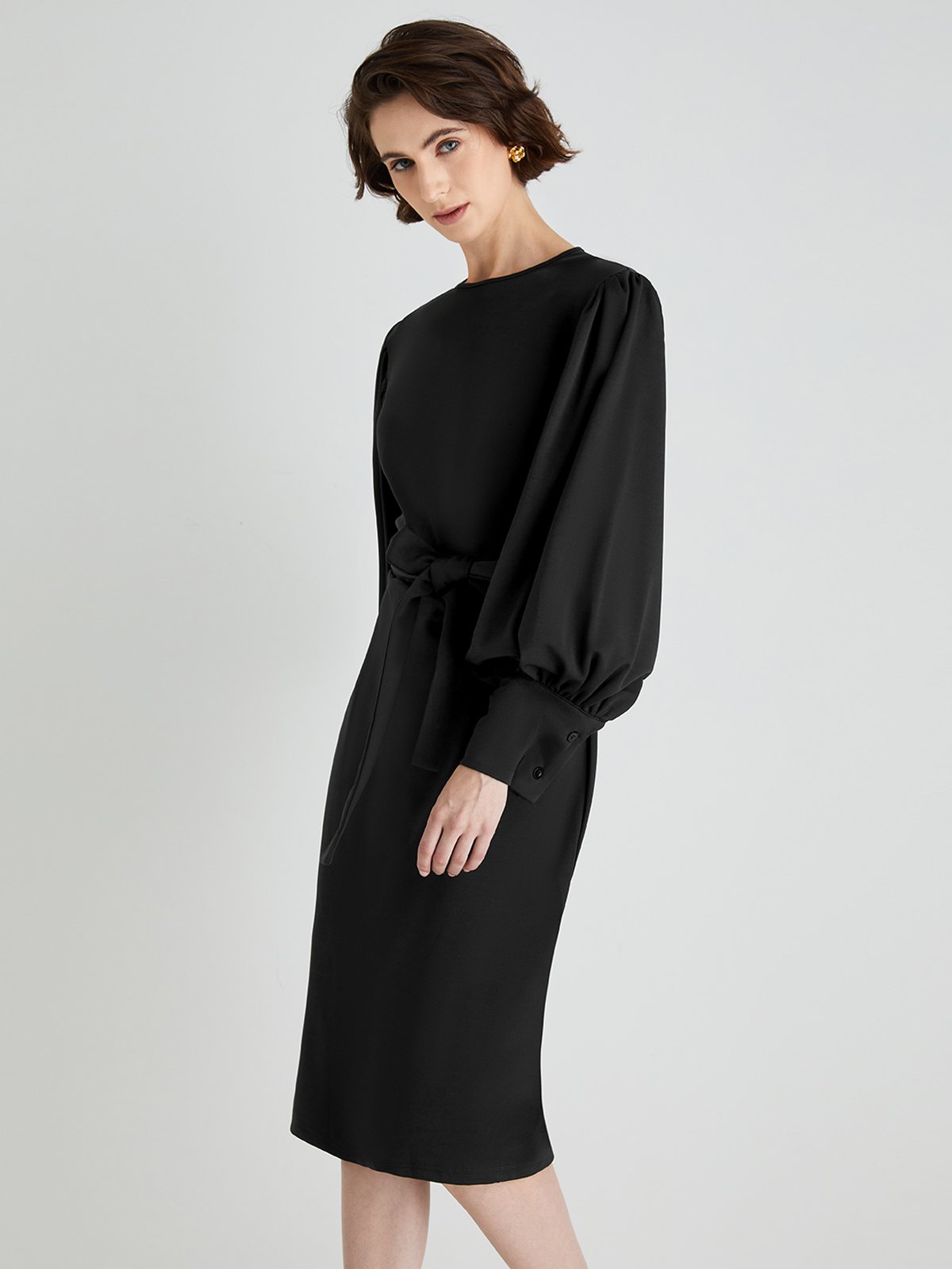 Elegant Plain Lantern Sleeve Crew Neck Dress