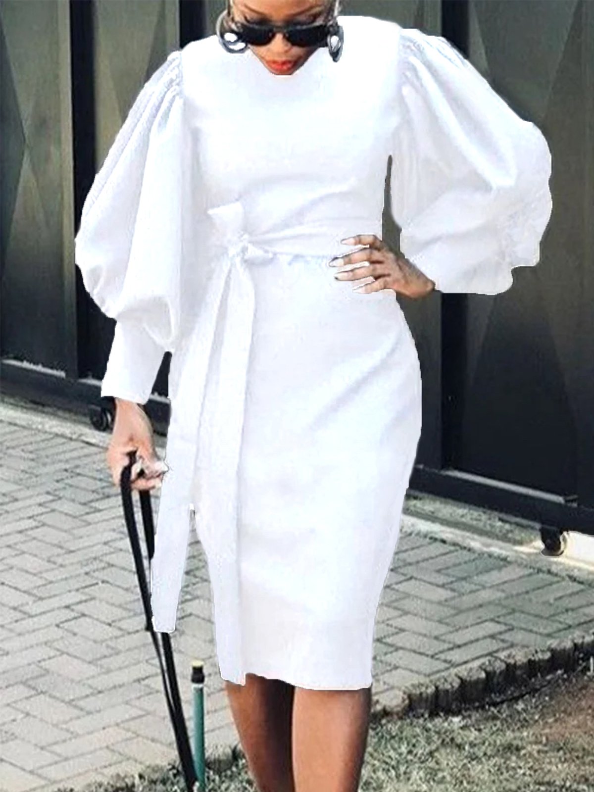 Elegant Plain Lantern Sleeve Crew Neck Dress