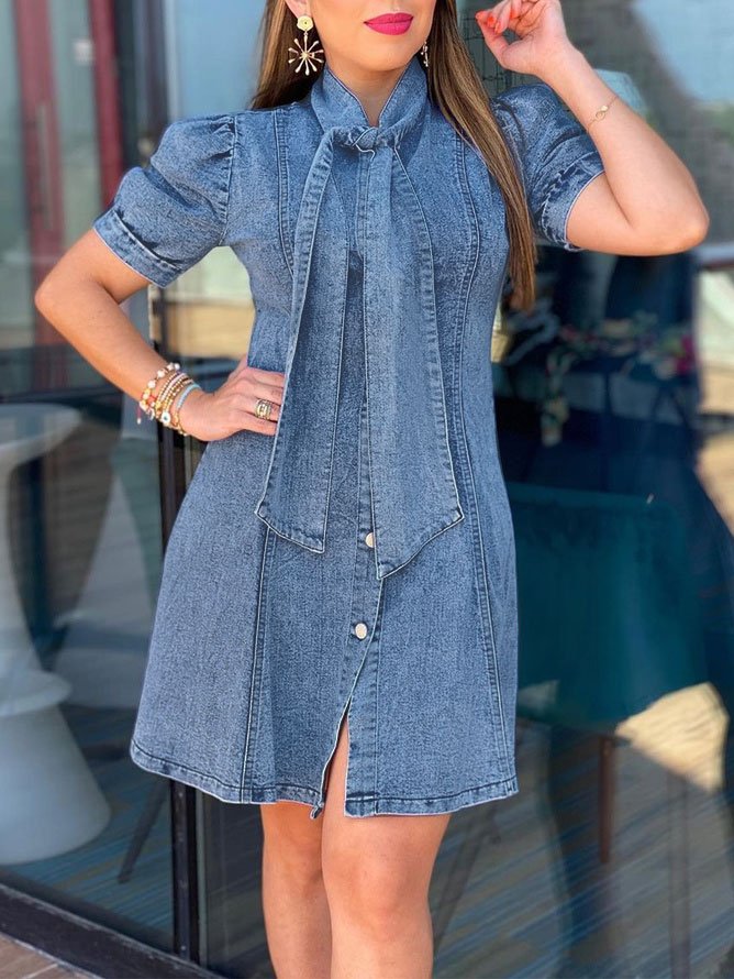 Elegant Plain Regular Fit Denim Mini Dress With No Belt