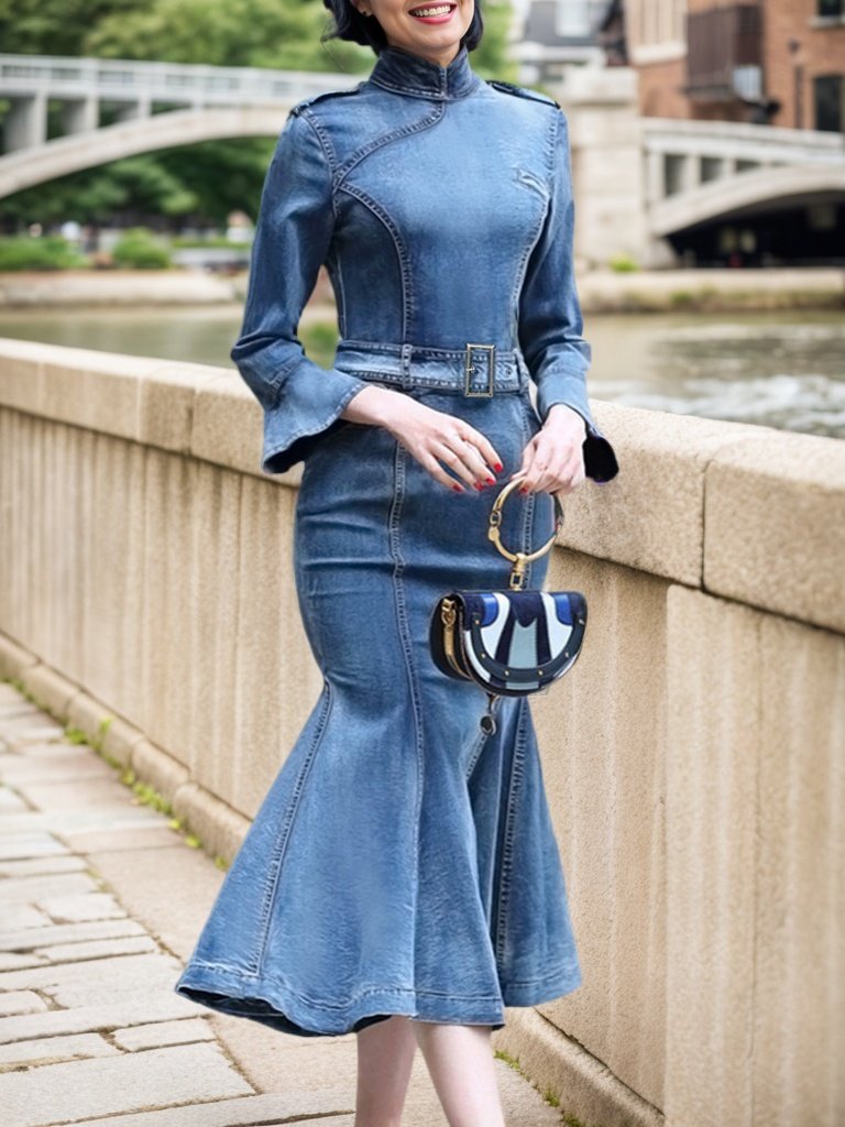 Stand Collar Elegant Plain Denim Dress