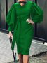 Elegant Plain Lantern Sleeve Crew Neck Dress