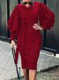 Elegant Plain Lantern Sleeve Crew Neck Dress