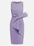 Urban Crew Neck Bow Plain Dress For Women